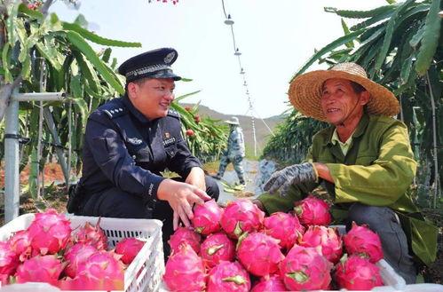 b站视频大全免费观看 