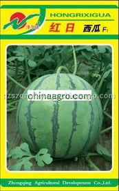 黑料吃瓜网apk普通安装